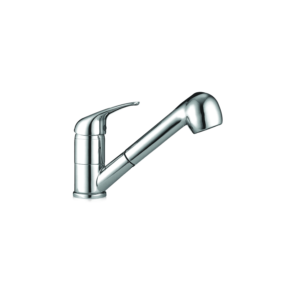 Kitchen sink mixer with pull-out shower