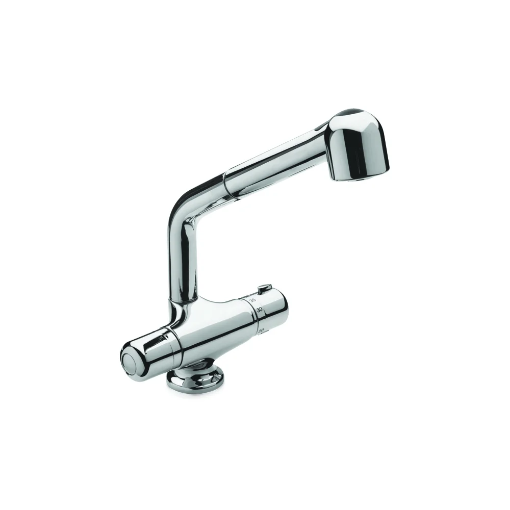 Sink mixer with swivel spout and head shower
